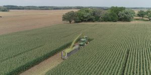 H&S 1230 Big Dog forage box collecting forage in the field