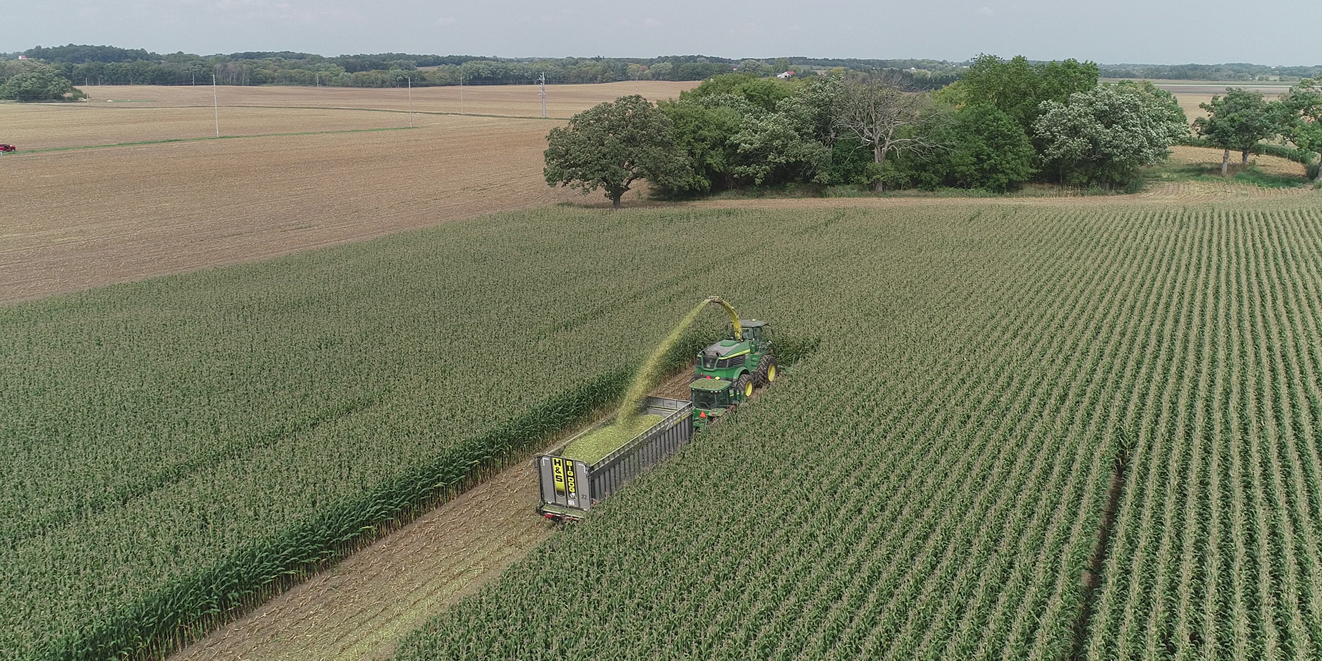 H&S 1230 Big Dog forage box collecting forage in the field