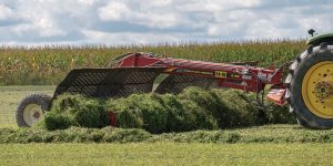 H&S 6128 Twin-Flex merger merging alfalfa in a hay field